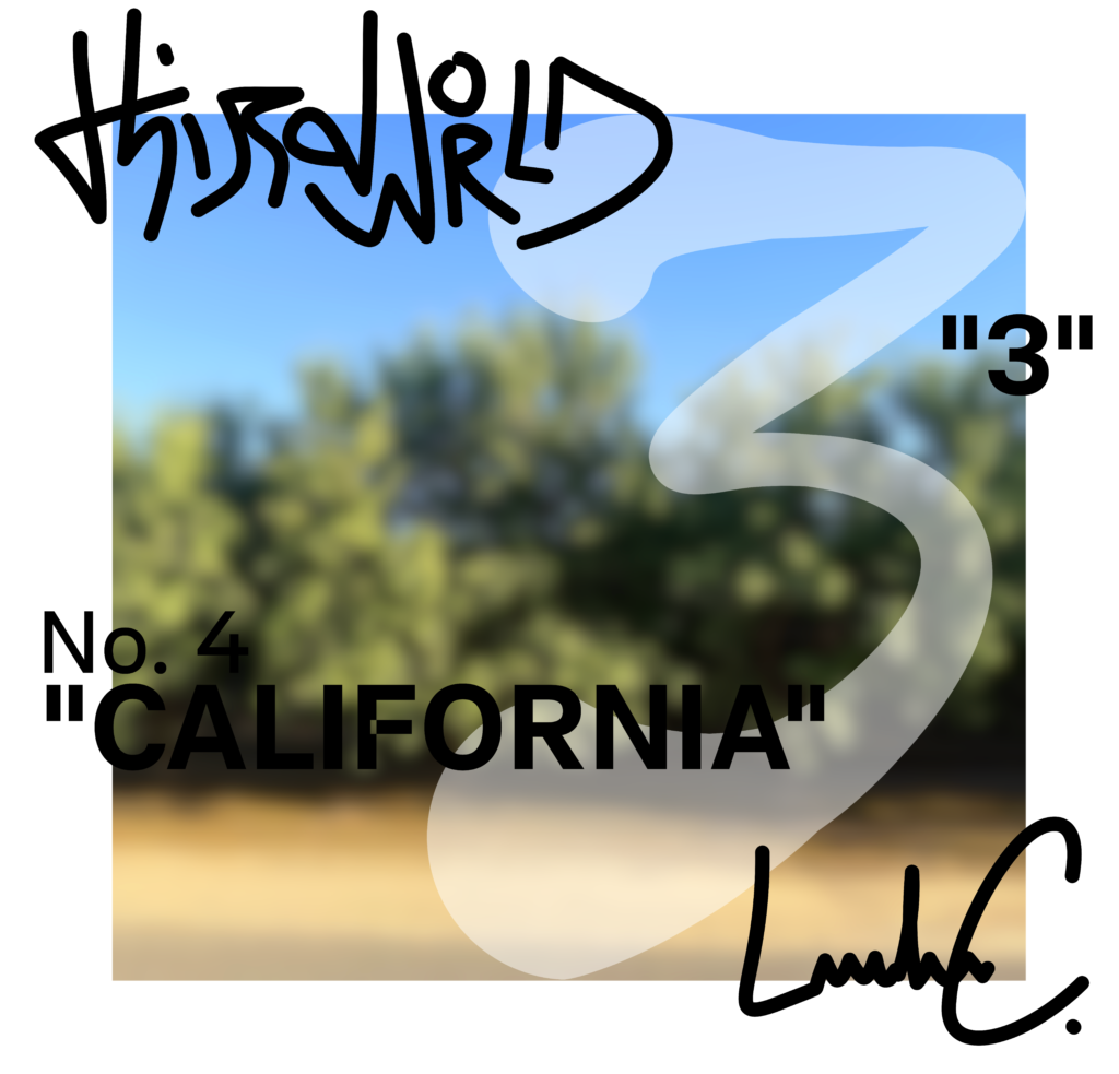 thrdwrld: california design